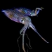 squid_reef_bigfin_pp_v_0144_alo0298.jpg